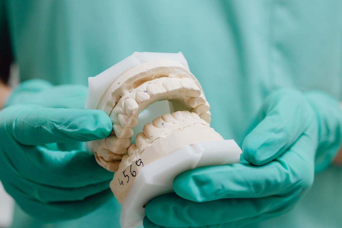 Dental cast held for inspection